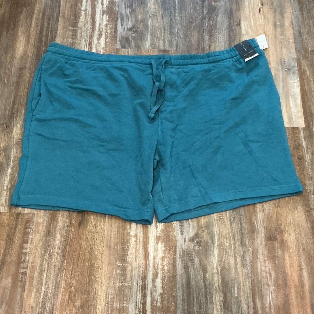 No Boundaries Teal Athletic Shorts for Men